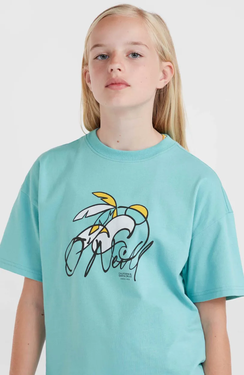 Online O’Neill Addy Graphic T-shirt | Ripling Shores