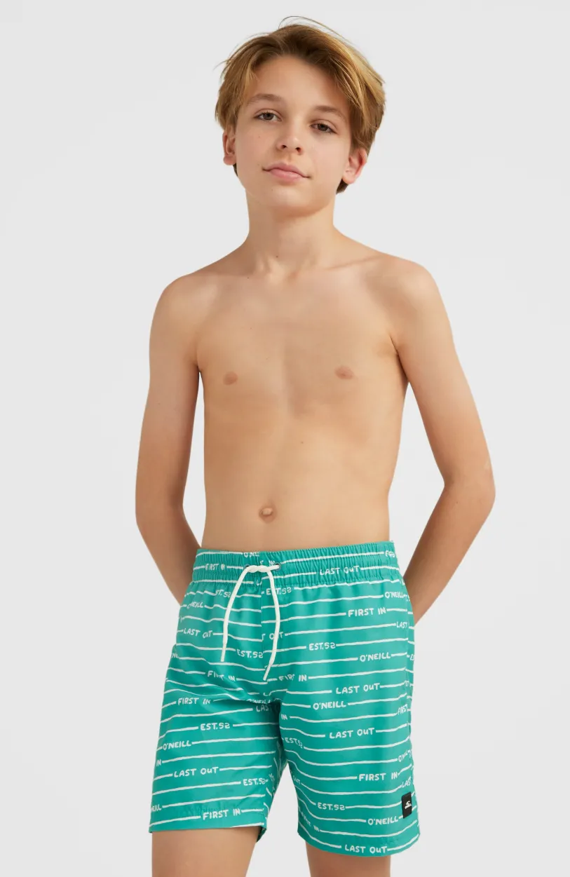 Discount O’Neill All Year 14 | Sea Green Boys First In