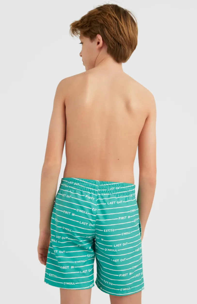 Discount O’Neill All Year 14 | Sea Green Boys First In