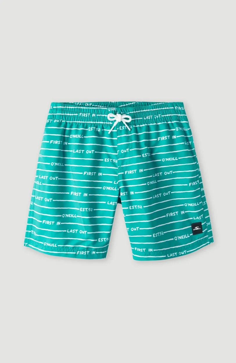 Discount O’Neill All Year 14 | Sea Green Boys First In