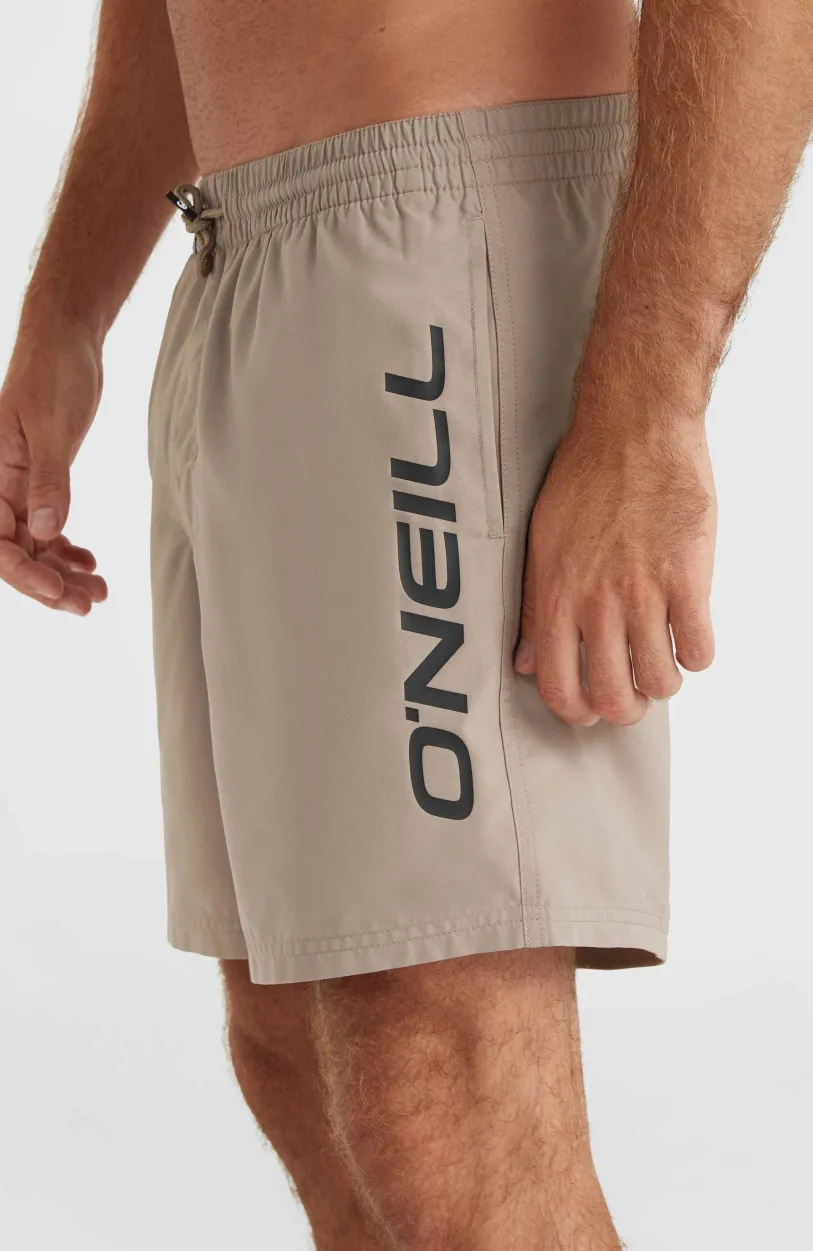 Hot O’Neill Cali 16'' Zwembroek | Pumpkin Smoke