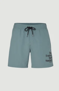 Clearance O’Neill Cali FSS 16'' Zwemshort | North Atlantic