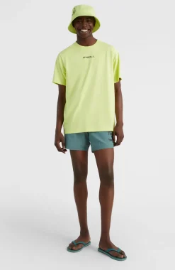 Clearance O’Neill Cali FSS 16'' Zwemshort | North Atlantic
