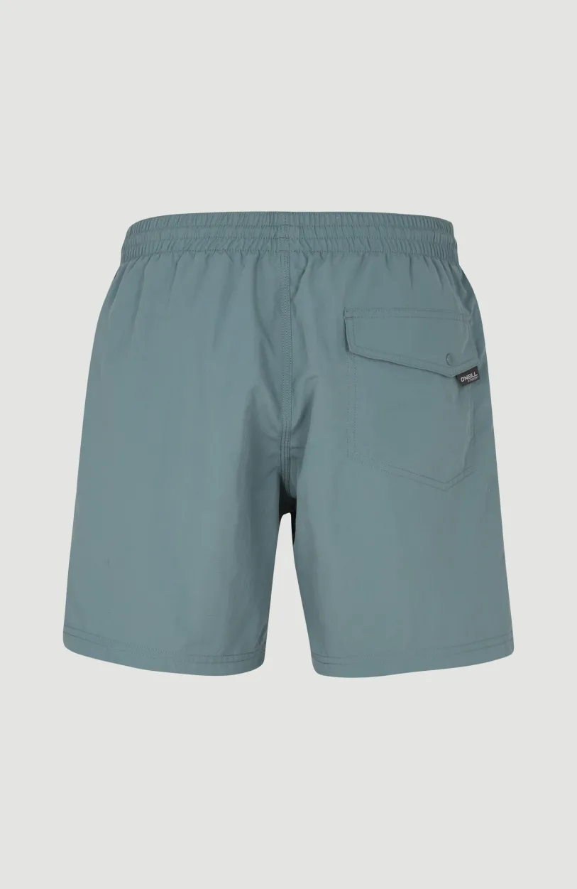 Clearance O’Neill Cali FSS 16'' Zwemshort | North Atlantic