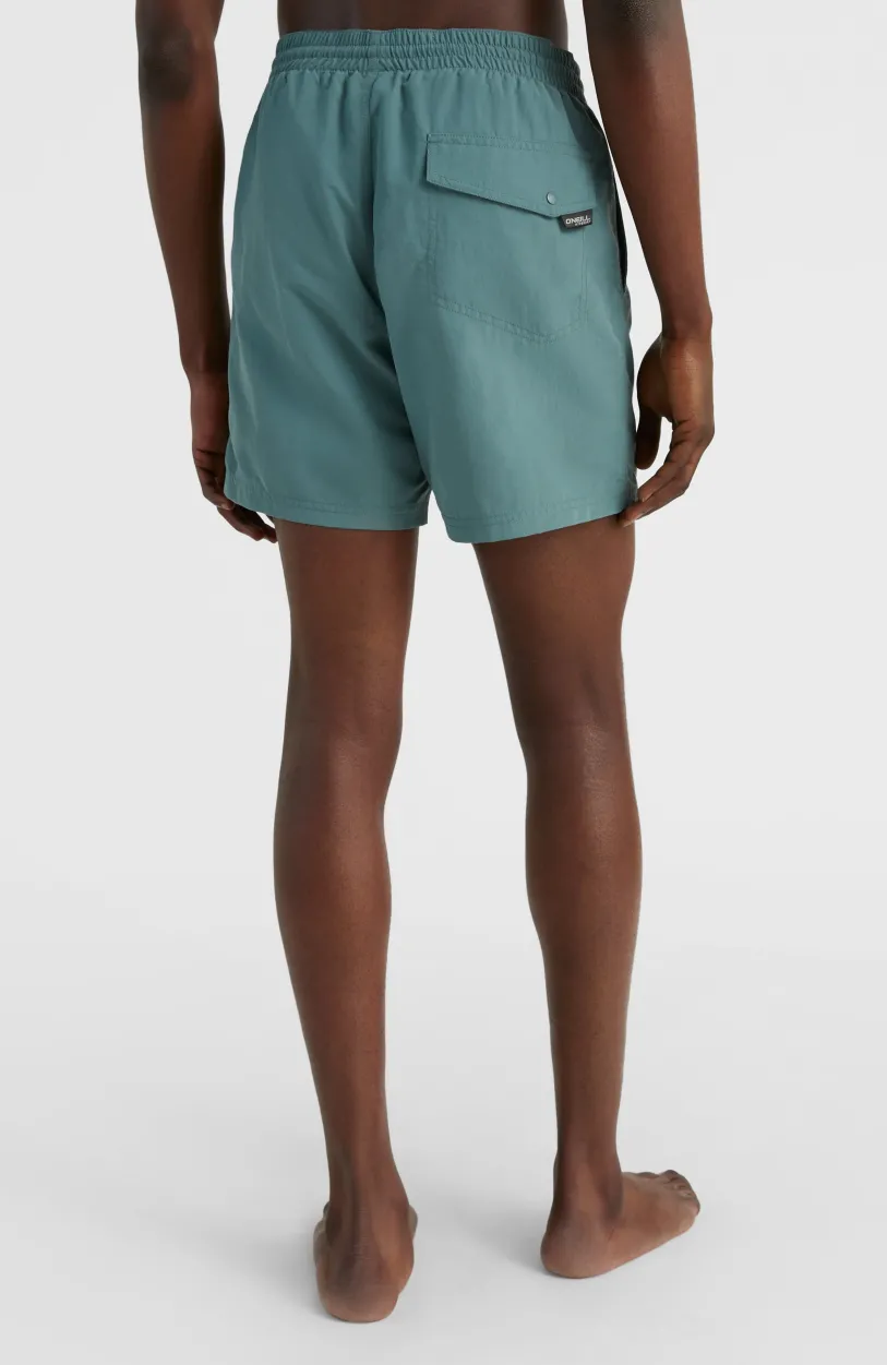 Clearance O’Neill Cali FSS 16'' Zwemshort | North Atlantic