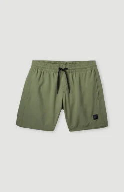 Outlet O’Neill Cali Hybrid 13" Zwemshort | Deep Lichen Green