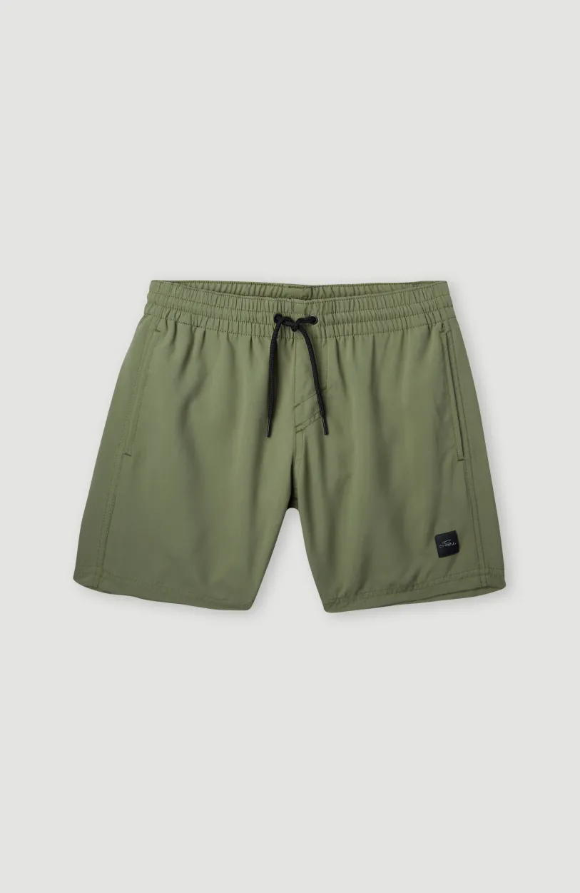 Outlet O’Neill Cali Hybrid 13" Zwemshort | Deep Lichen Green