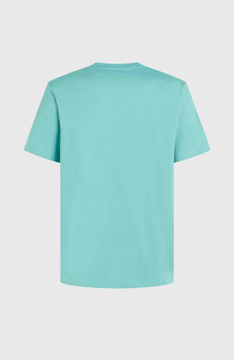 Online O’Neill Cali Original T-shirt | Ripling Shores
