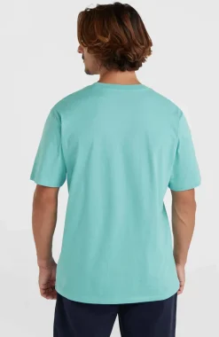 Online O’Neill Cali Original T-shirt | Ripling Shores