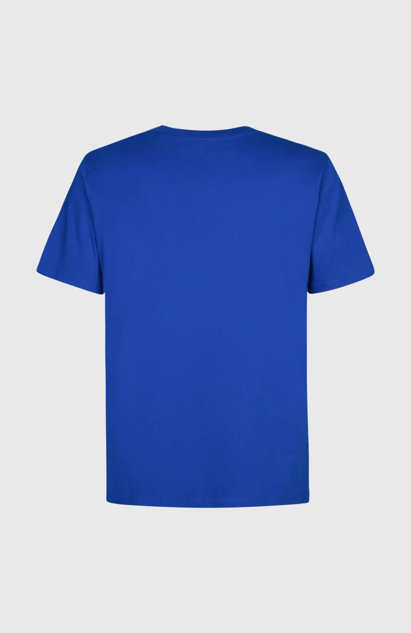 O’Neill Cali Original T-shirt | Surf the web Blue