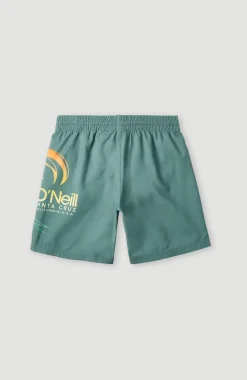 Outlet O’Neill Circle Surfer 14" Zwemshort | North Atlantic Circle Surfer Gradient