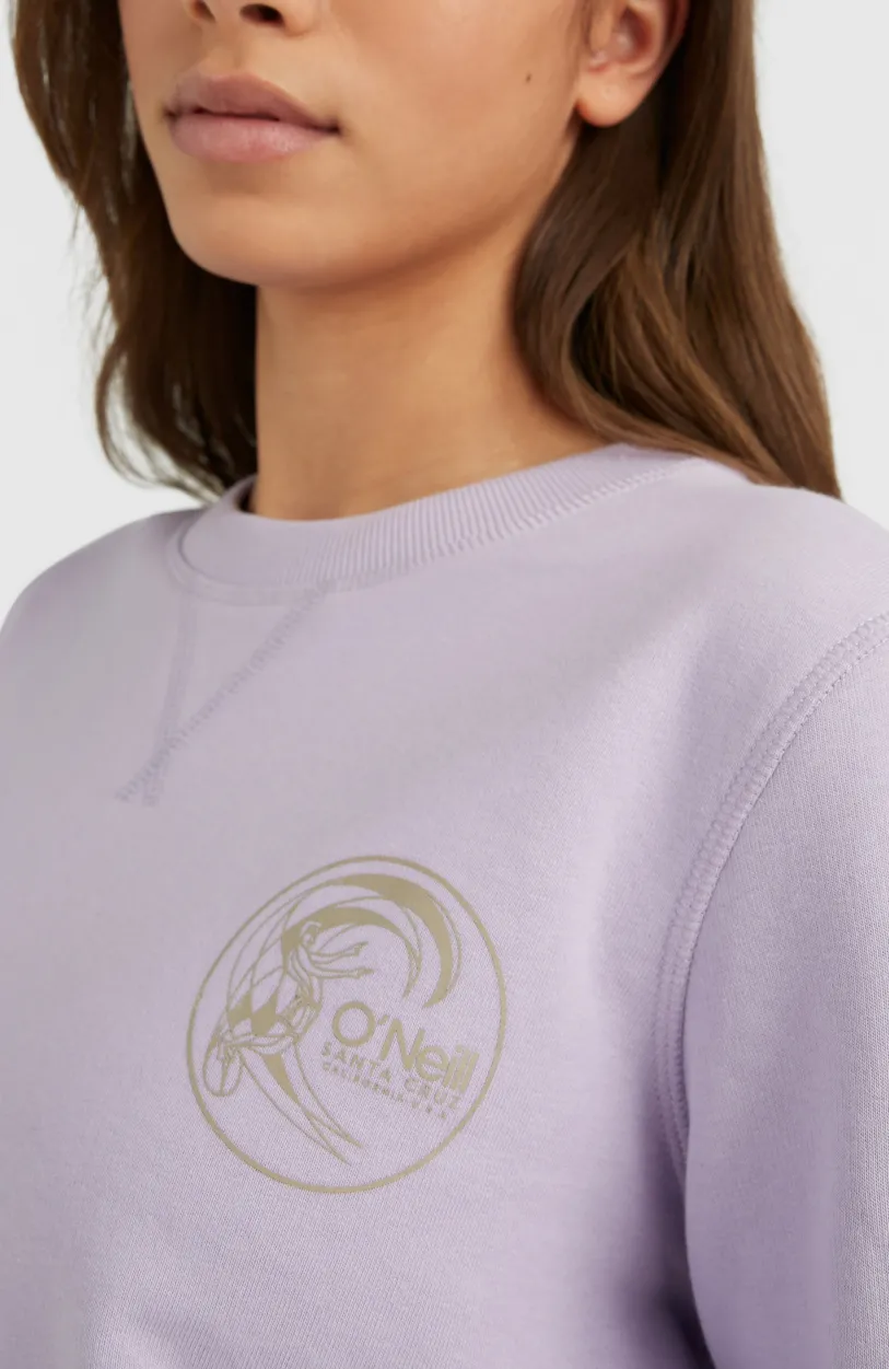 Online O’Neill Circle Surfer Crew Sweatshirt | Purple Rose