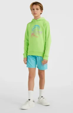 Sale O’Neill Circle Surfer Hoodie | Fluor Green