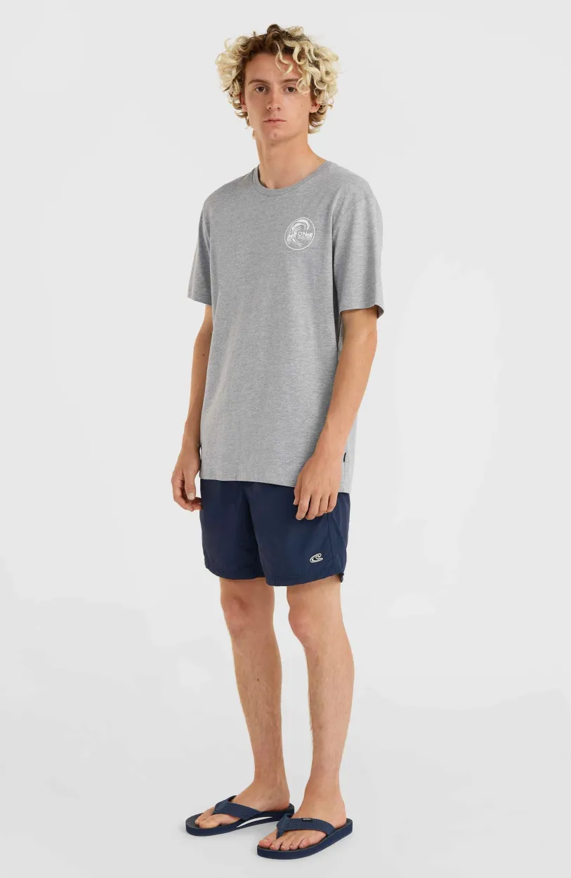 Clearance O’Neill Circle Surfer T-Shirt | Silver Melee -A