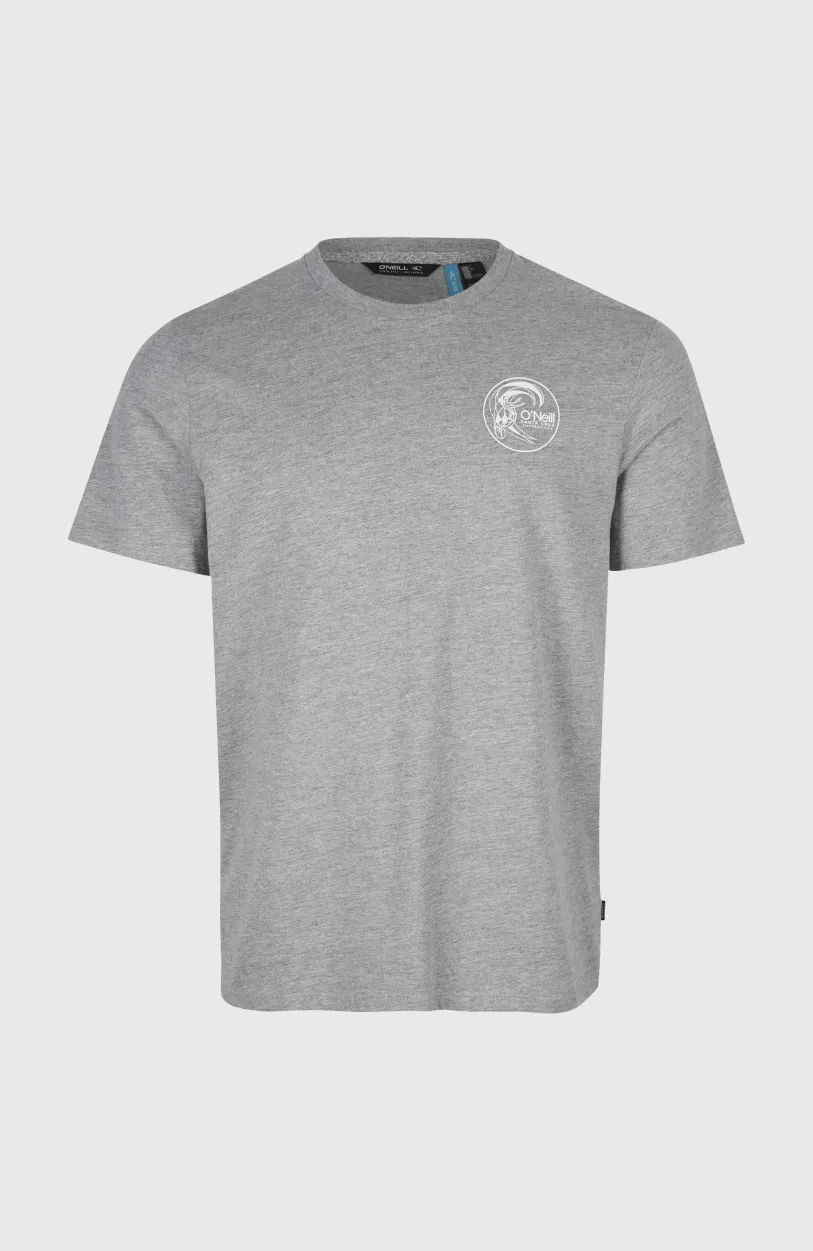 Clearance O’Neill Circle Surfer T-Shirt | Silver Melee -A