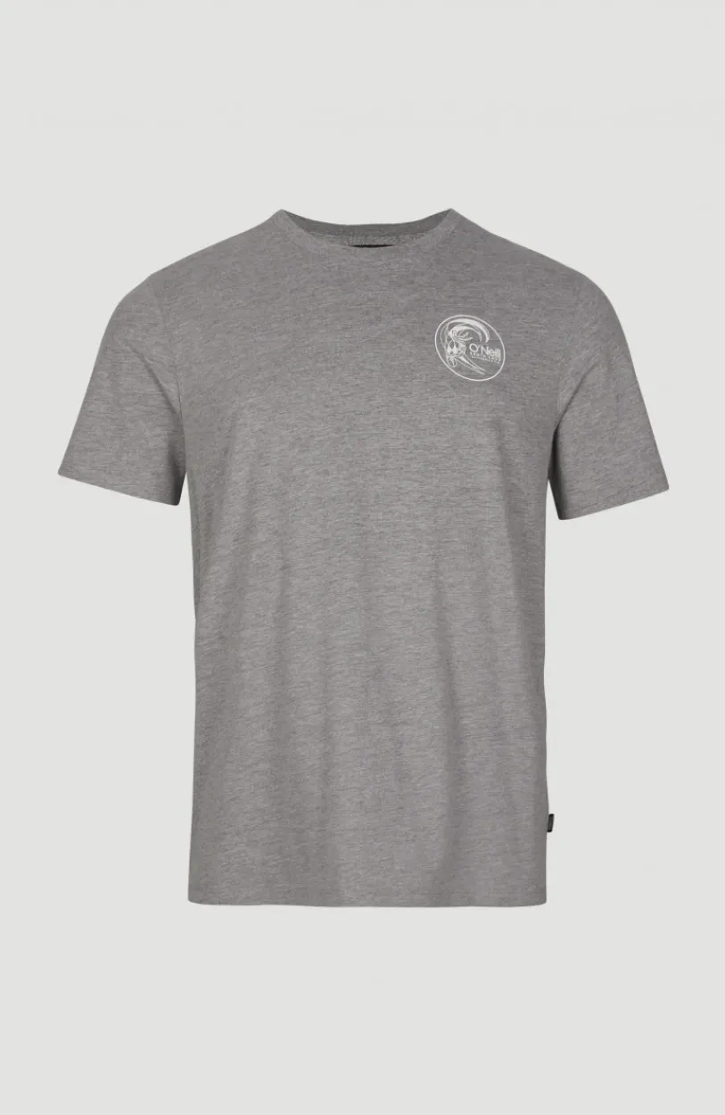 Clearance O’Neill Circle Surfer T-Shirt | Silver Melee -A