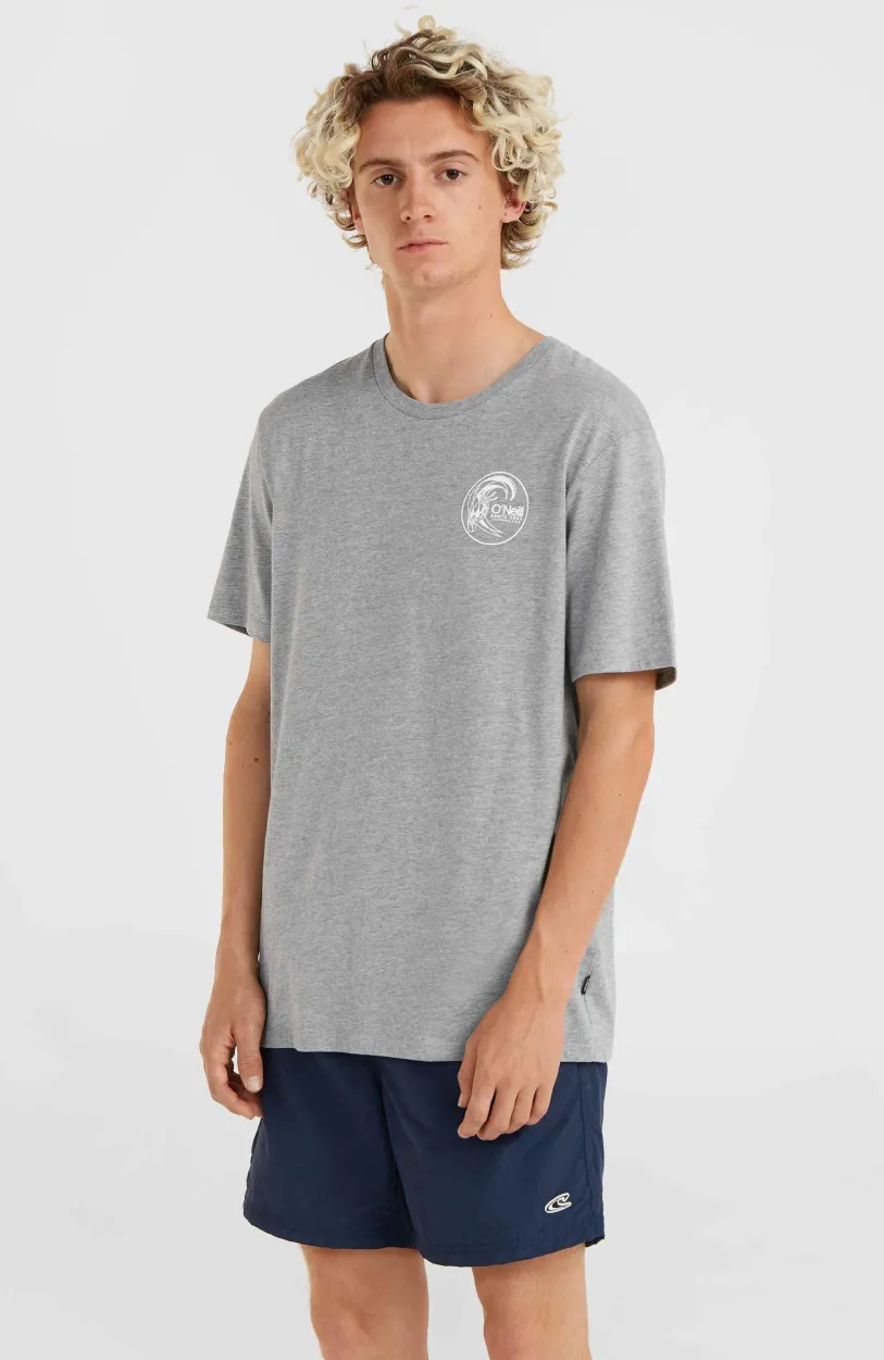 Clearance O’Neill Circle Surfer T-Shirt | Silver Melee -A