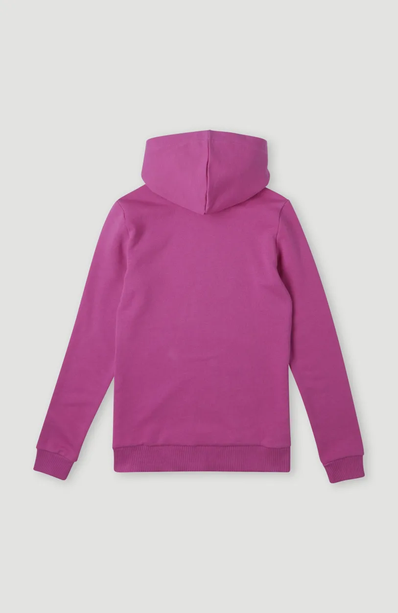 O’Neill Cube Hoodie | Fuchsia Red
