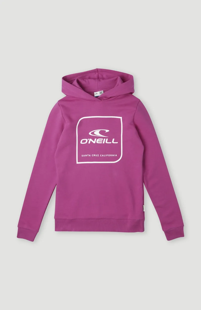 O’Neill Cube Hoodie | Fuchsia Red