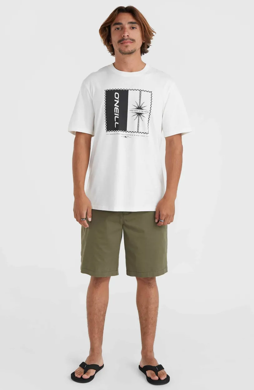 Hot O’Neill Essentials Chinoshort | Asher Tree