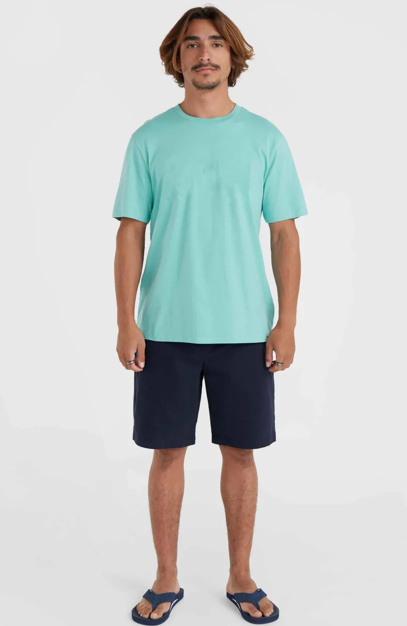 Online O’Neill Essentials Chinoshort | Outer Space