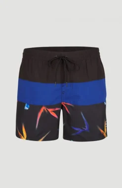 New O’Neill Frame Block Swim Short | Blue Multi 6