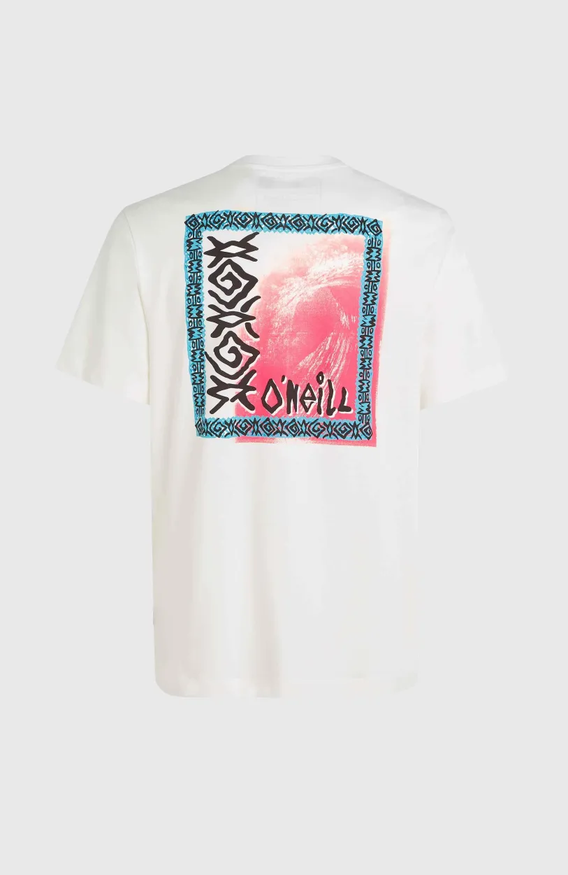 Online O’Neill Framed T-shirt | OPT White