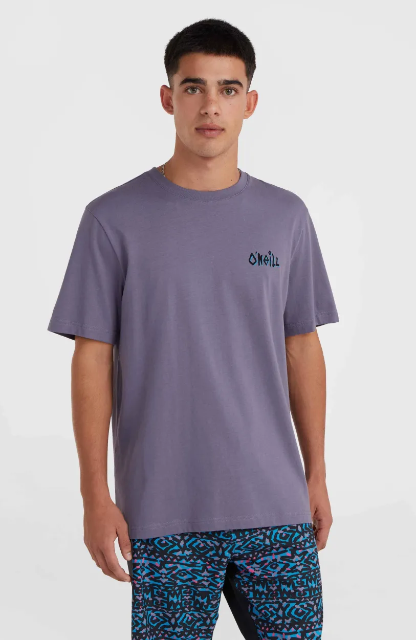Outlet O’Neill Framed T-shirt | Storm