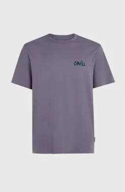 Outlet O’Neill Framed T-shirt | Storm