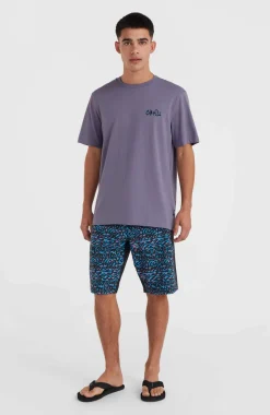 Outlet O’Neill Framed T-shirt | Storm