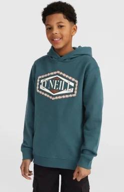 Best O’Neill Front Print Hoodie | Alma Steel