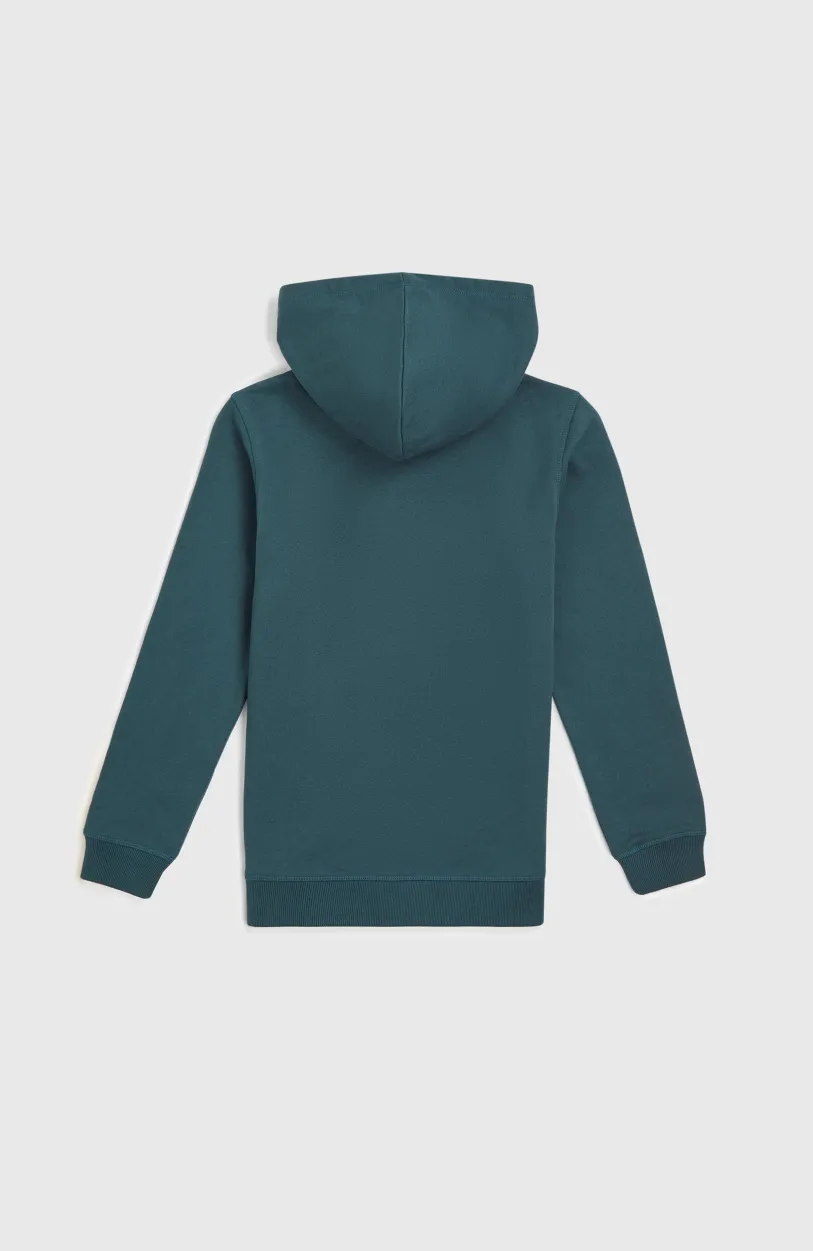 Best O’Neill Front Print Hoodie | Alma Steel