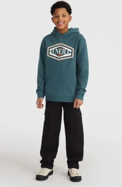 Best O’Neill Front Print Hoodie | Alma Steel