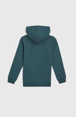 Best O’Neill Front Print Hoodie | Alma Steel