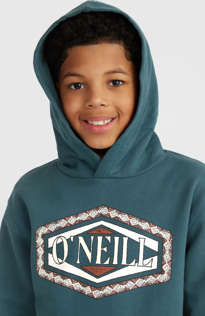 Best O’Neill Front Print Hoodie | Alma Steel