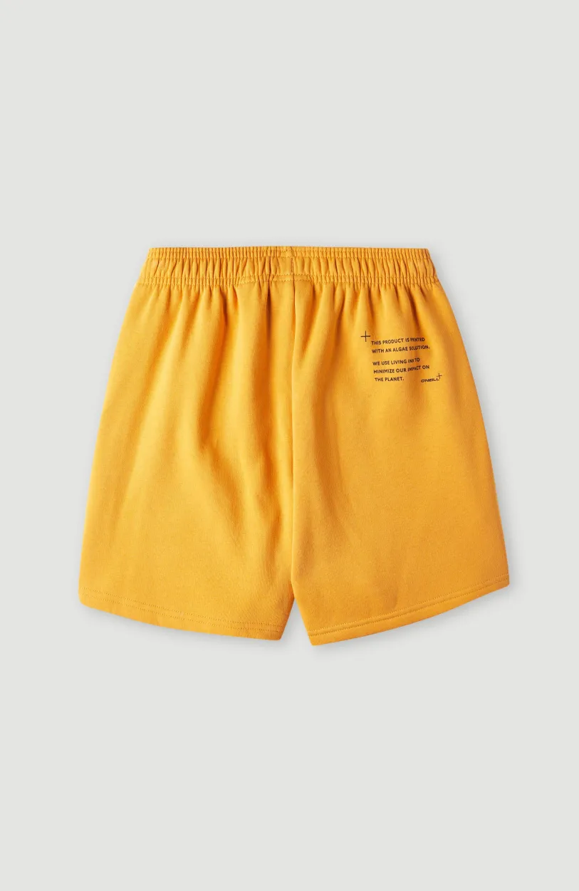 Hot O’Neill Future Surf High-Waist Joggingshort | Nugget