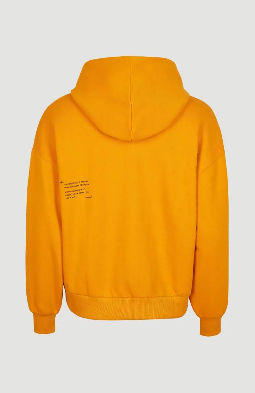 Best O’Neill Future Surf Hoodie | Nugget