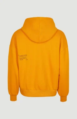 Best O’Neill Future Surf Hoodie | Nugget