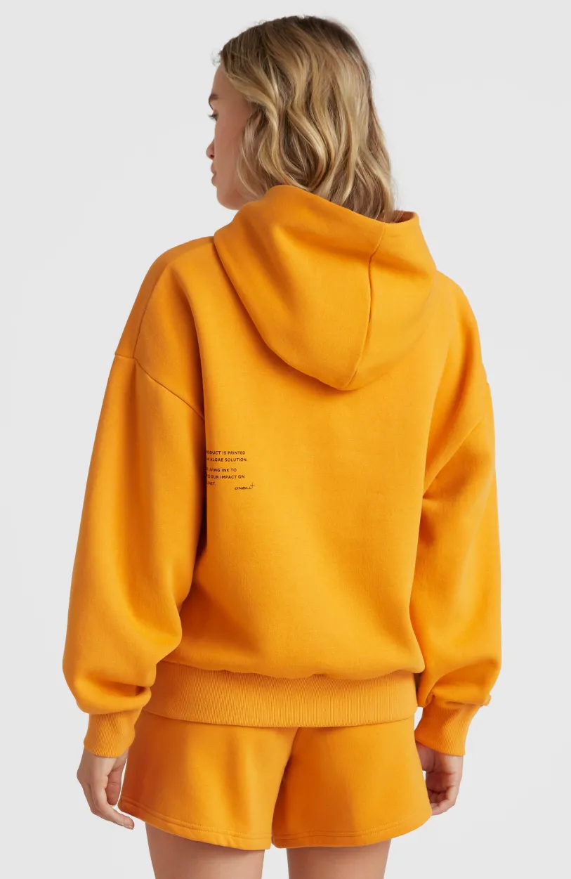 Best O’Neill Future Surf Hoodie | Nugget
