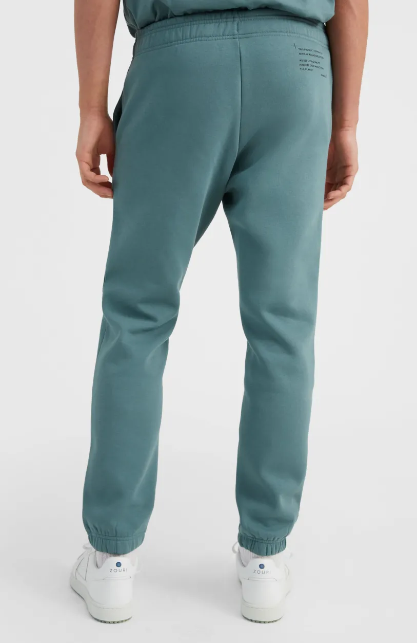 Best O’Neill Future Surf Joggingbroek | North Atlantic