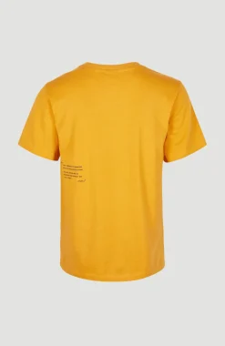 Online O’Neill Future Surf Regular T-shirt | Nugget