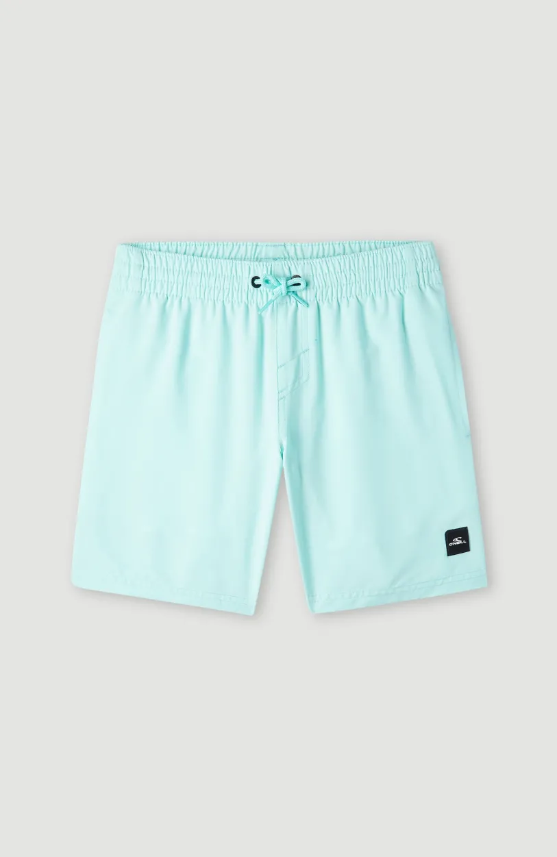Outlet O’Neill Future Surf Society 14'' Zwemshort | Beach Glass