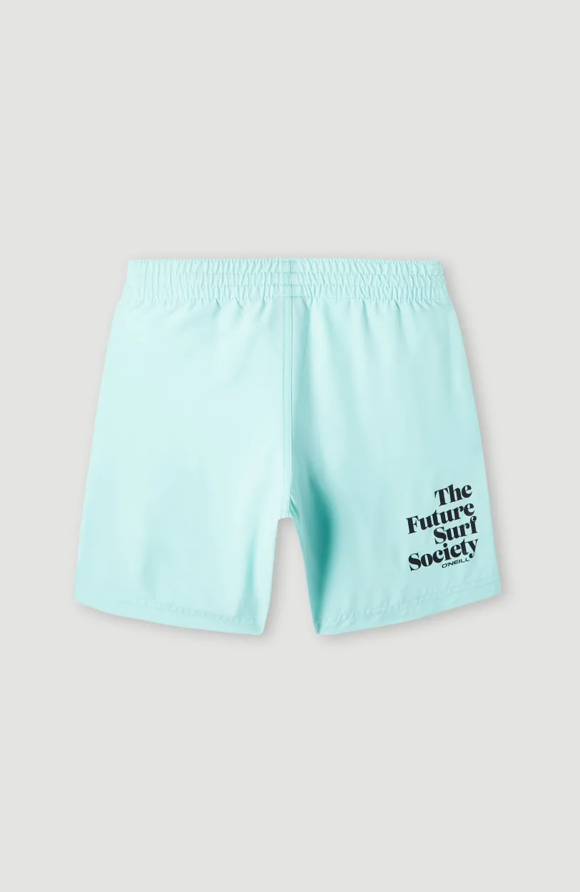 Outlet O’Neill Future Surf Society 14'' Zwemshort | Beach Glass