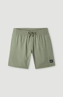 Hot O’Neill Future Surf Society 14'' Zwemshort | Deep Lichen Green
