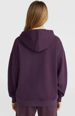 Discount O’Neill Future Surf Society Hoodie | Aubergine