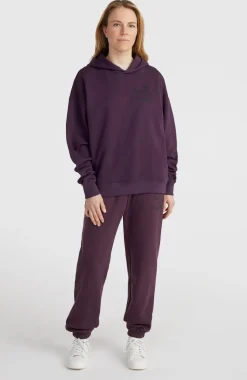 Discount O’Neill Future Surf Society Hoodie | Aubergine