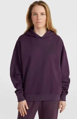 Discount O’Neill Future Surf Society Hoodie | Aubergine