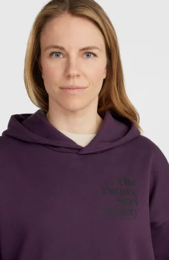 Discount O’Neill Future Surf Society Hoodie | Aubergine