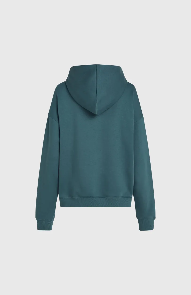 Hot O’Neill Future Surf Society Hoodie | Alma Steel
