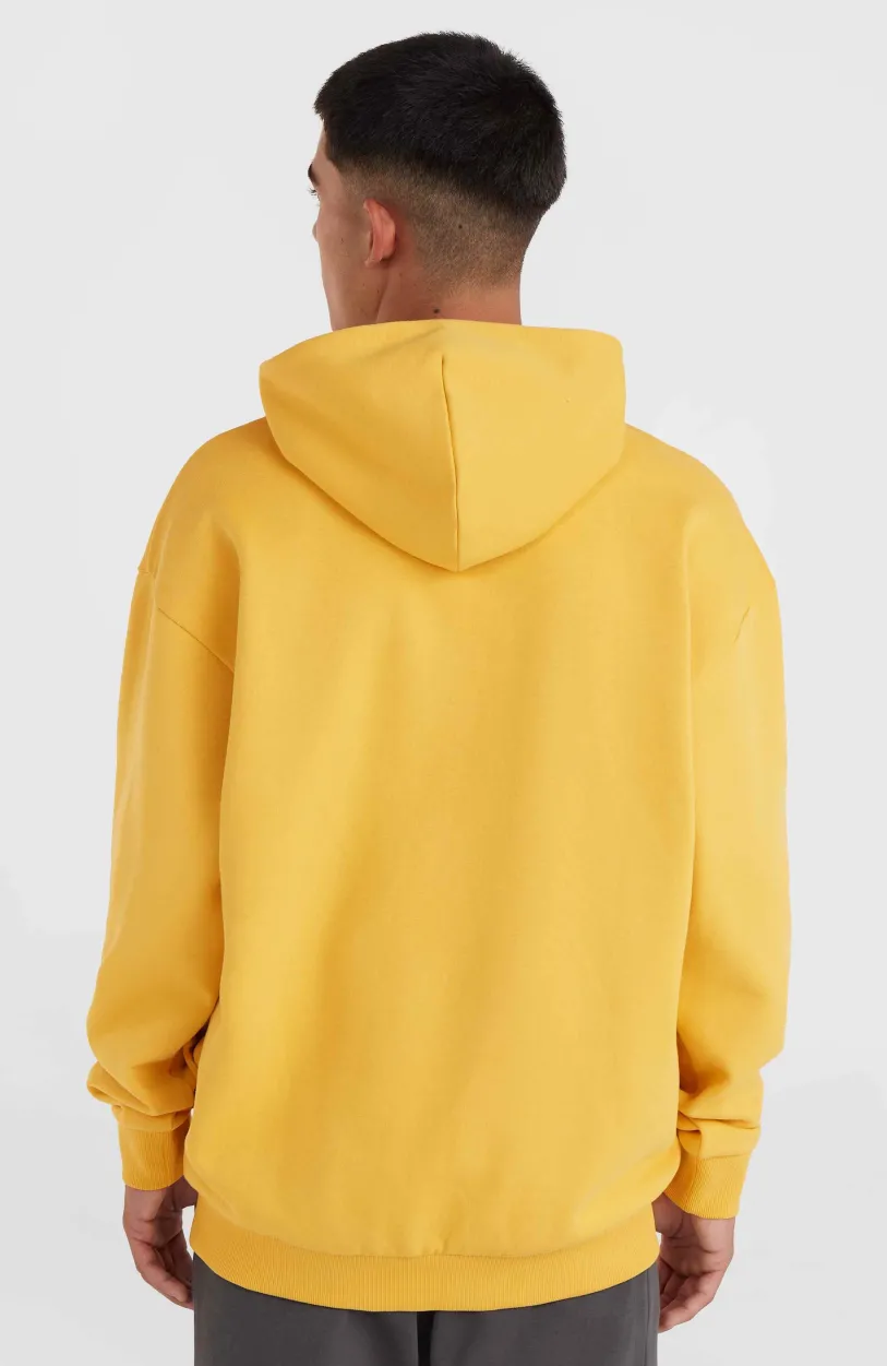 Discount O’Neill Future Surf Society Hoodie | Golden Haze